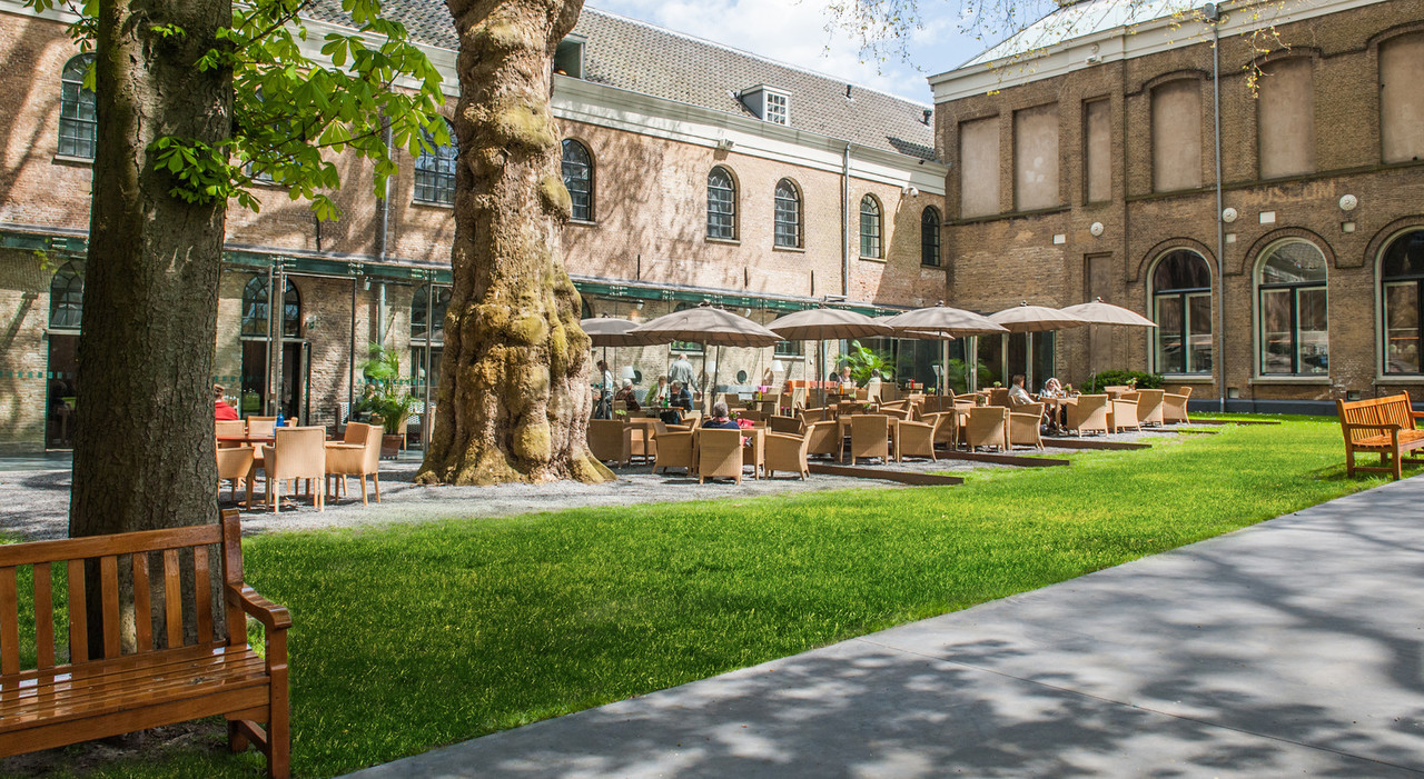 Mediation opleiding MfN